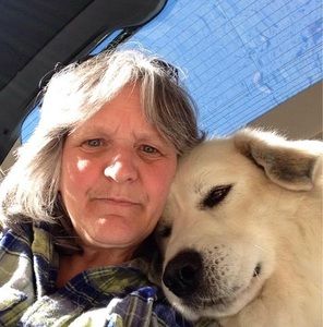 Meet your Posher, Laurie